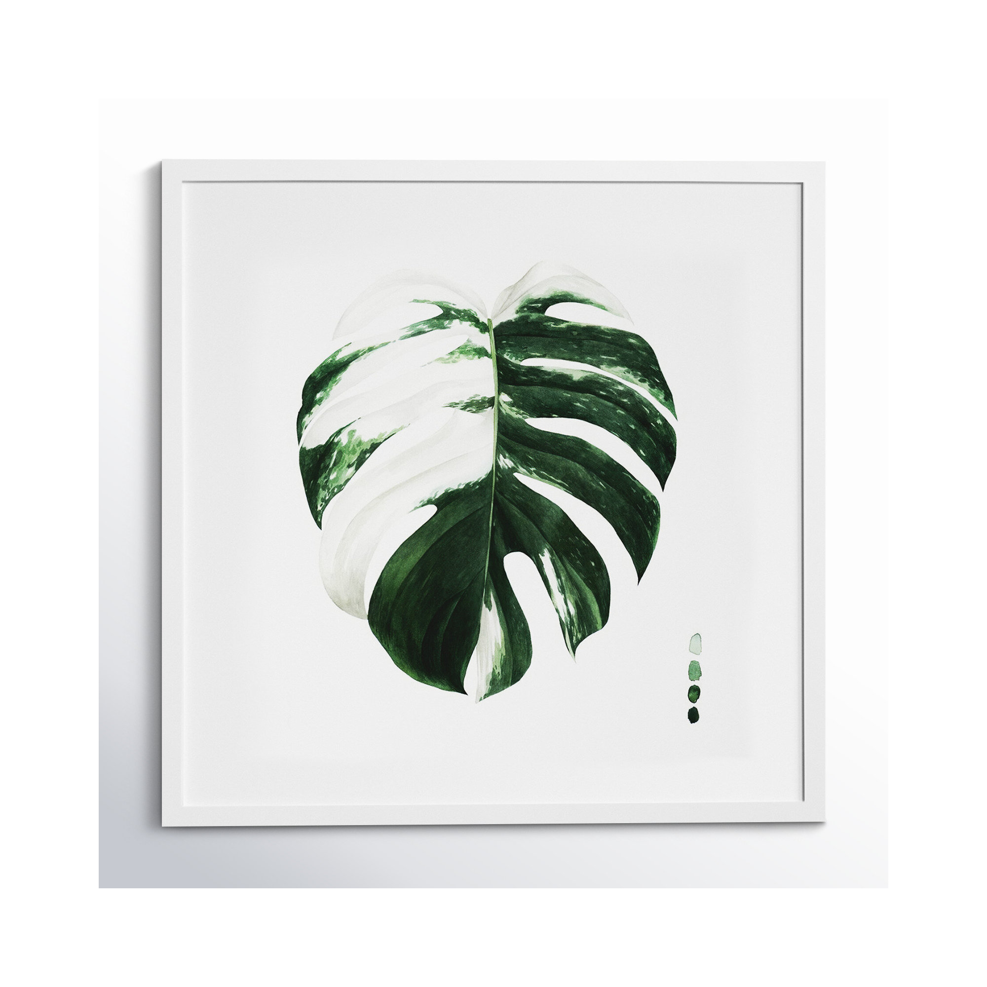 Variegated Monstera II by Grace Popp, White Framed Paper, 19.38" H x 19.38" W x 0.88" D