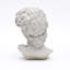 Monochrome Classical Bust Sculpture – Matte Resin Decorative Accent (29 cm) -1263162806