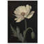 1 Piece Wrapped Canvas Wall Art