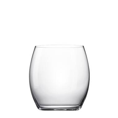 Cactus Crystal Stemless Wine Glasses by Viski®