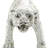 Polystone Leopard Decorative Sculpture-1405159695-1405159694