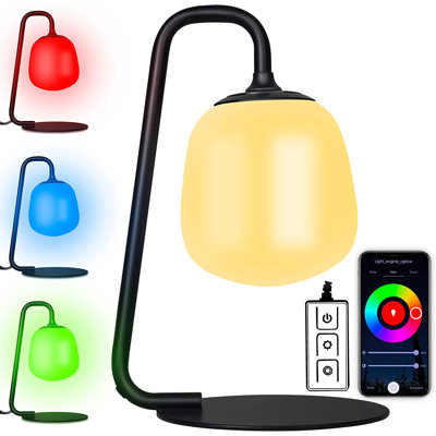 Metal USB Desk Lamp