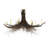 Rustic Lodge 8 - Light Steel Chandelier