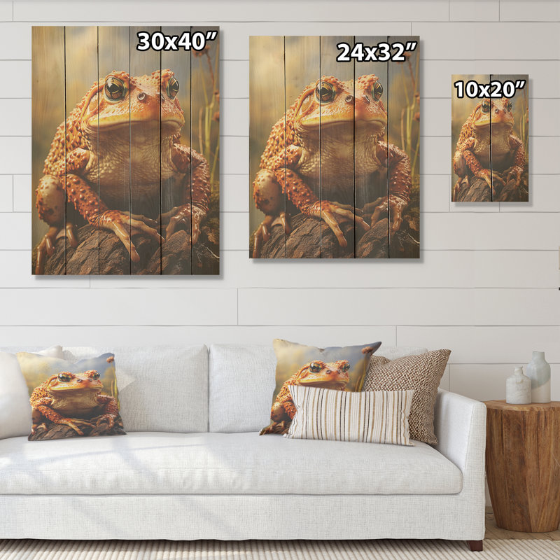 «Classic Frog Portrait I - Frogs & Toads», art mural sur bois de pin naturel, H 32 po x l 24 po