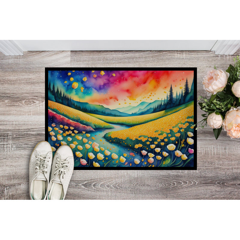 Osio Non-Slip Doormat, 24" W x 36" L