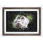 Macaque Monkey - Picture Frame Graphic Art-62802279-62802281