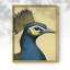 ANIMALS Series CECLX III - Impression encadrée de qualité supérieure - Prêt à être accroché - Aucun clou requis-1684297058-1684297063