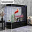 Aquariums en verre ultra-transparent avec bande lumineuse cachée-2027271576-2027271578