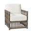Newport Arm Chair with Cushions-63361408-84544968-93646496
