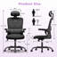 Motonobu Ergonomic Office Chair with Mesh Lumbar Support-631788498