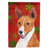 Basenji (brun et blanc)