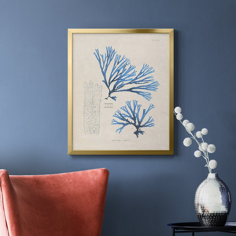 «Blue Marine Algae V», toile encadrée de qualité supérieure - prête à être accrochée, H 20 po x l 16 po, Or
