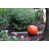 Crimson Bright n'est pas disponible