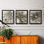 Birch Leaves I Painting Print on Canvas-1078033324-1078033327
