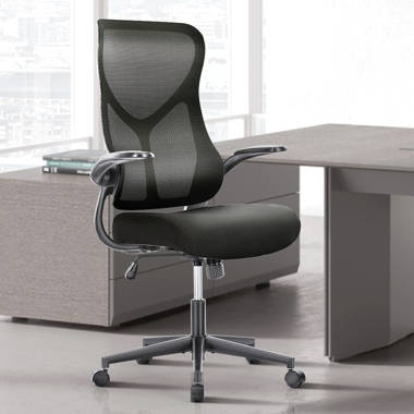 https://assets.wfcdn.com/im/58528208/resize-h380-w380%5Ecompr-r70/2396/239649028/Houstin+Ergonomic+Mesh+Task+Chair.jpg