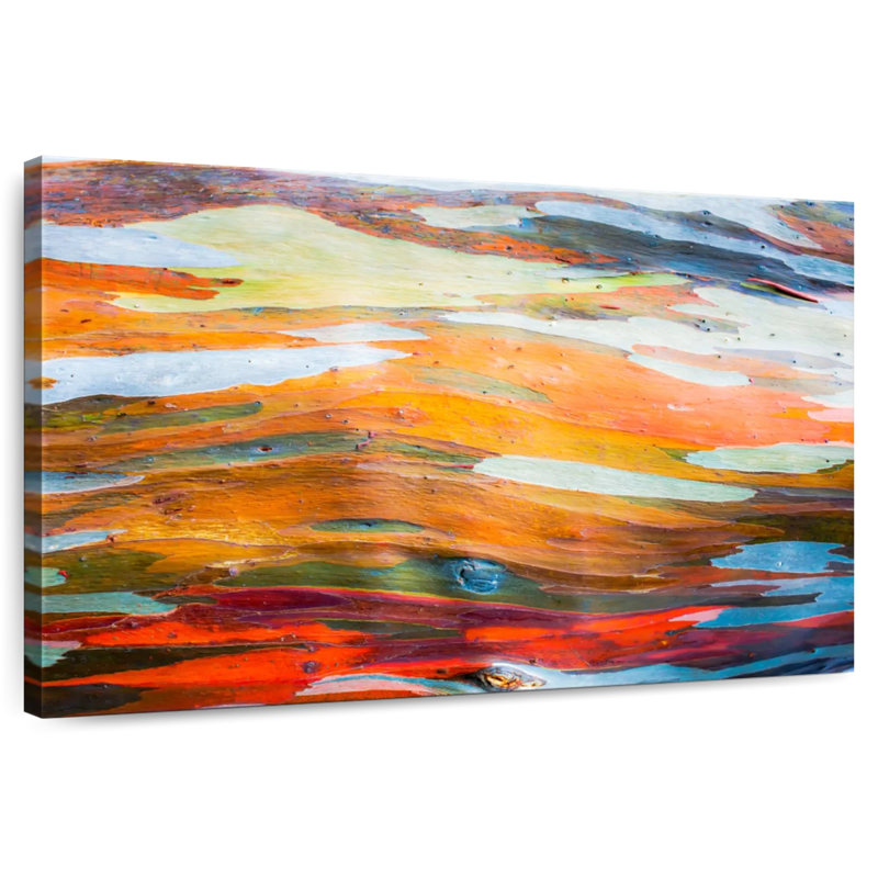 Abstract Eucalyptus Tree Bark