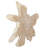 Uttermost Terrains Natural Wood Wall Decor