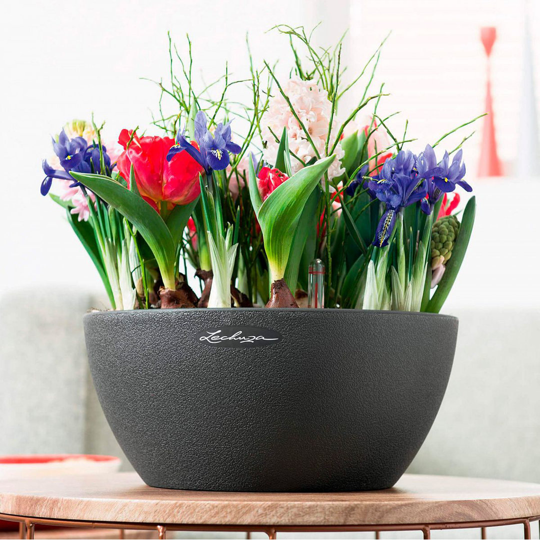 Pot Planter