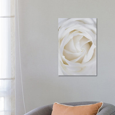 Roses blanches-reproduction de photo