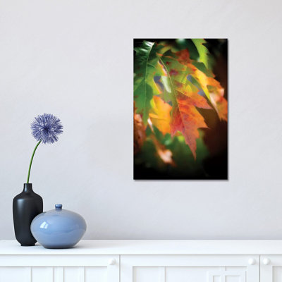 Oak Leaves 1 Piece Wrapped Canvas Wall Art
