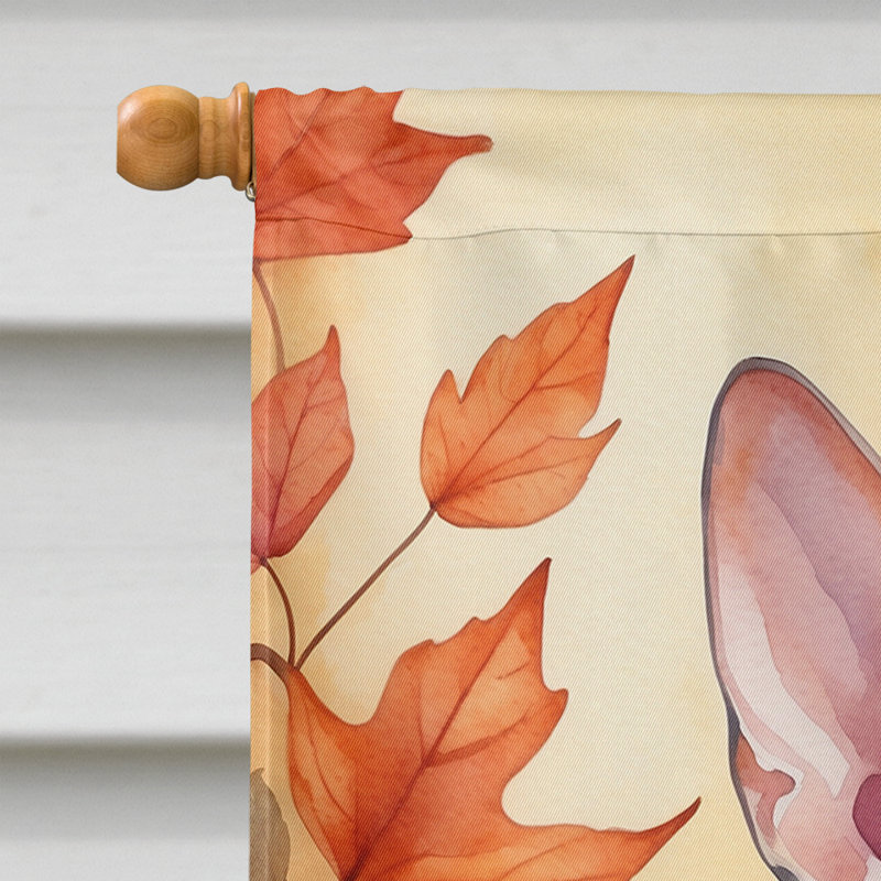 Chat en feuilles d'automne, Oriental Shorthair