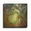 «From The Grove Pear» par Art Licensing Studio, art mural en métal-1221159339