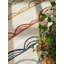 Hanse Home Kids Rug Kiki, Childrens Carpet, Kids Room, Motive Rug For Child