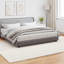 Modern Indoor Rug-726989602-726989599