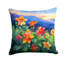 Coussin Colorado-114457636