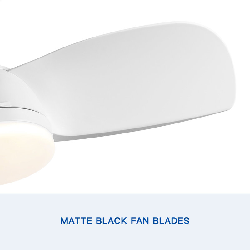 30" Flush Ceiling Fans with Lights & Black Blades,Low Profile Light and Fan with Remote,Small Modern Flush Mount Ceiling Fan with 3 Colour Led for Living Room Bedroom Kitchen