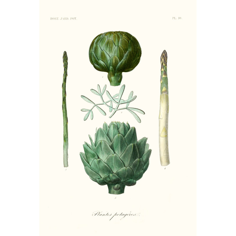 Fruit & Vegetable Varieties II - No Frame Print on Canvas, 46cm H x 30cm W x 3.8cm D