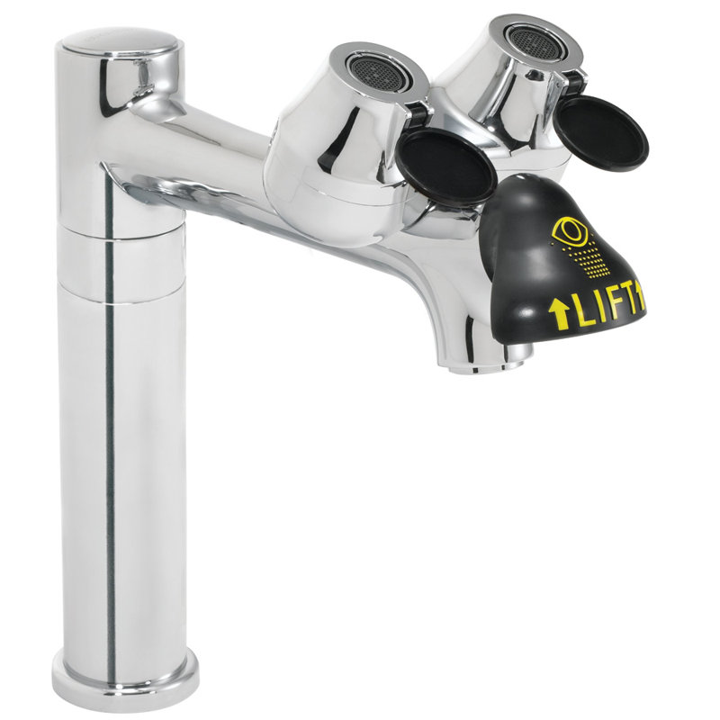 Robinet de laboratoire eyesaver avec eyewash d’urgence intégré et bec de 8 po