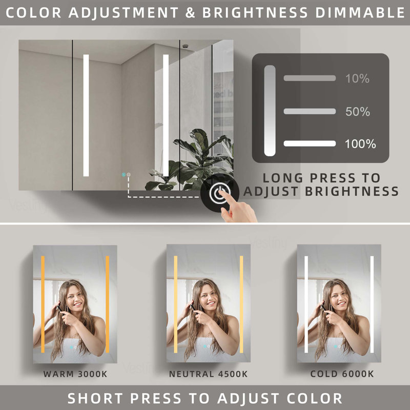 Miroir pour armoire de salle de bain Carollynn