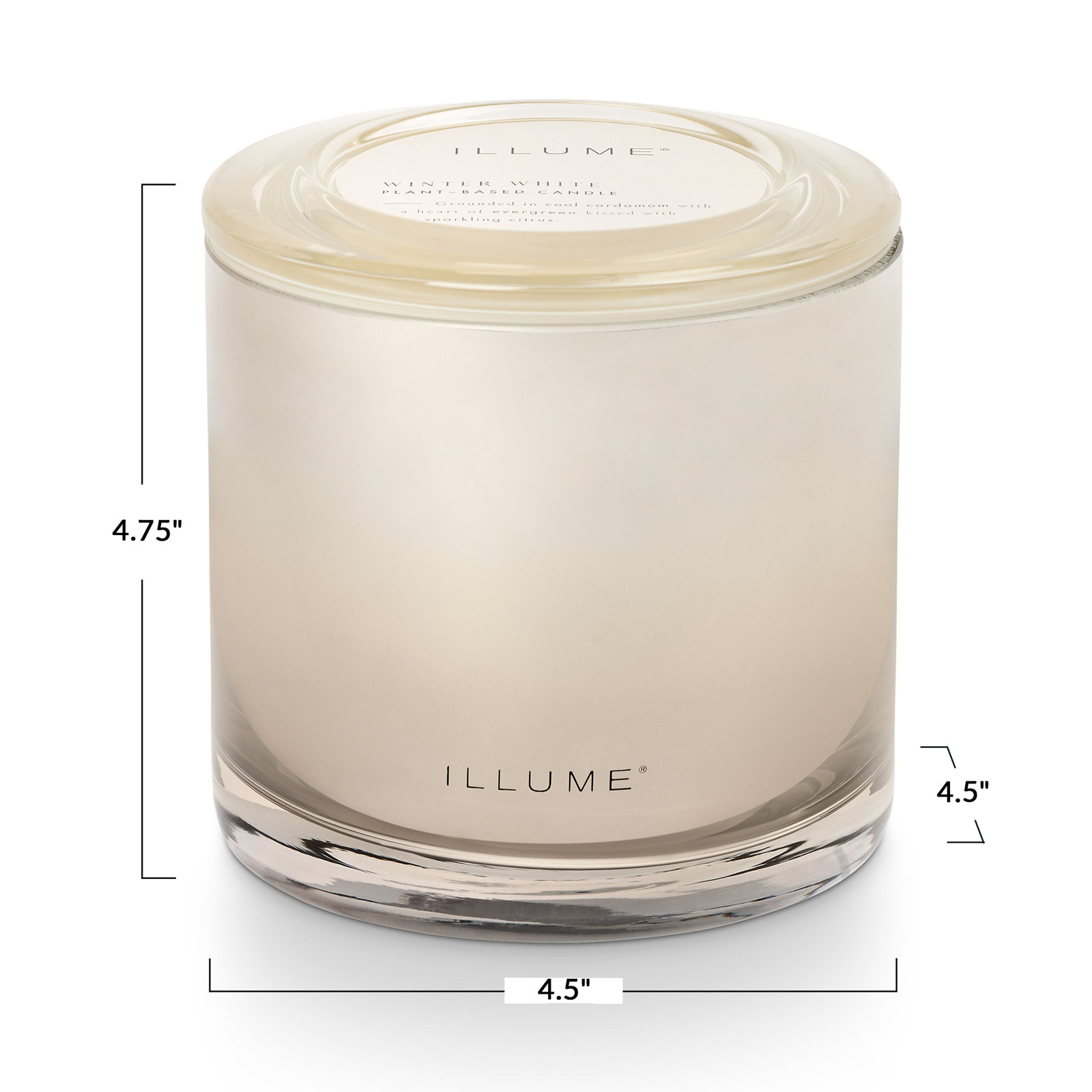 Noble Holiday Winter White Candle, Statement Glass