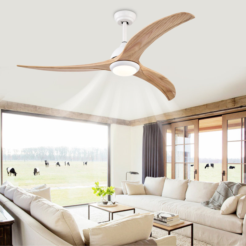 Ventilateur de plafond 52 po, Blanc, Bois naturel