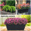 Jardinières de fenêtre, ensemble de 10 jardinières en plastique pour légumes et fleurs, noires