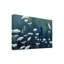 Berrien «Indigo And Lace Indigo Bunting», reproduction d'impression sur toile tendue-27647858