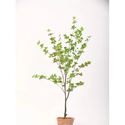 Pot à fleurs en terre cuite 56 po