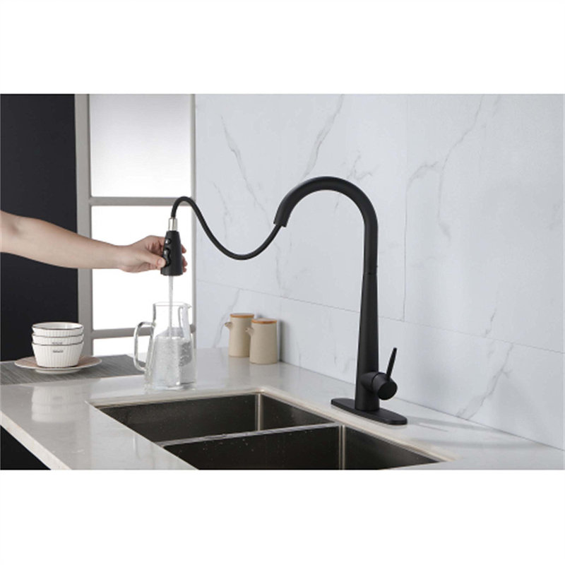 Robinet de cuisine rétractable à poignée simple avec accessoires, Noir