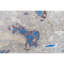 Abstract Area Rug in Gray/Blue/Brown-71450428
