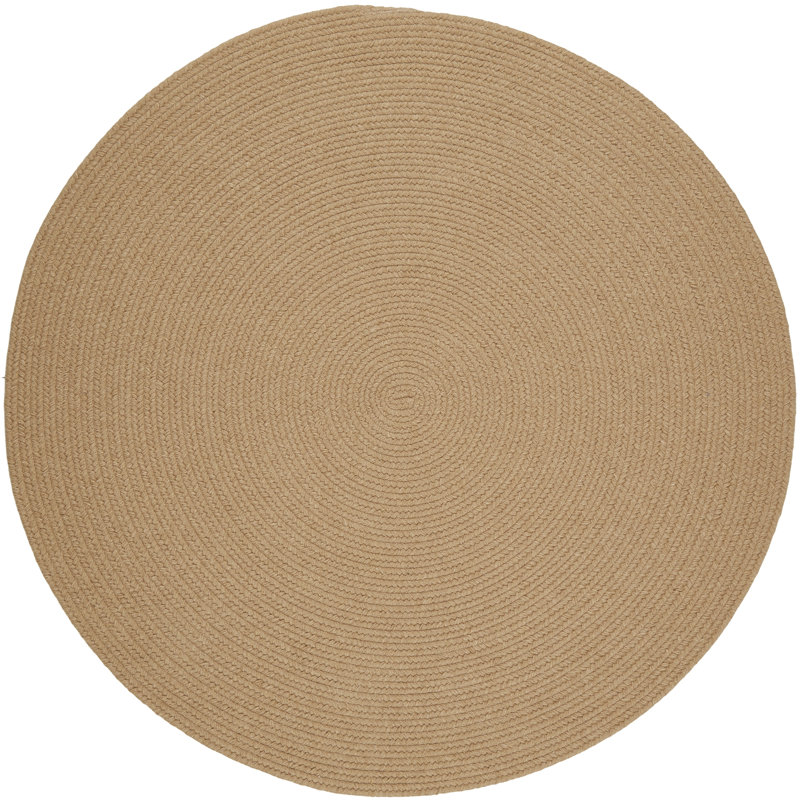 Smyth Hand Braided Synthetic Indoor Rug, Round 8'