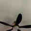 Customer photo 3 of 3