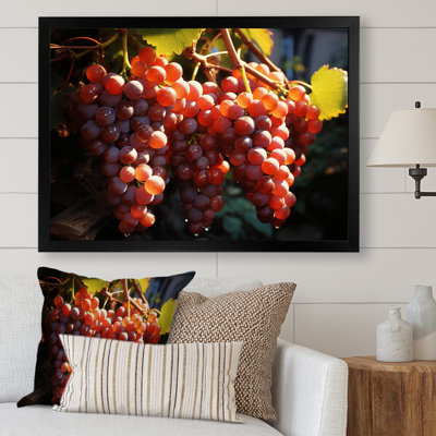 Scenic Vineyard Golden Harvest