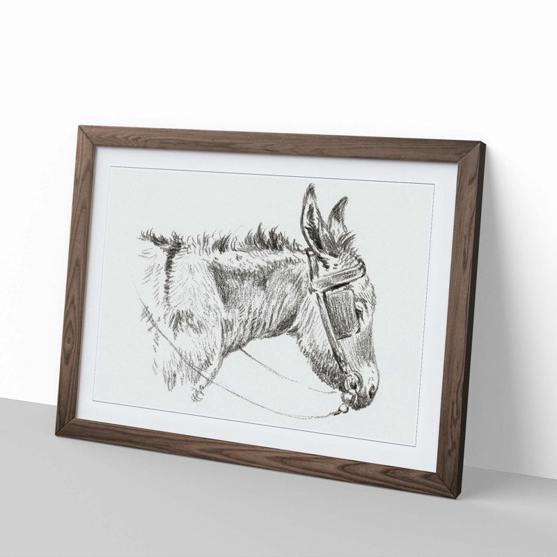 The Head of a Donkey by Jean Bernard - Picture Frame Drawing Print, Walnut Framed, 27cm H x 36cm W x 2cm D