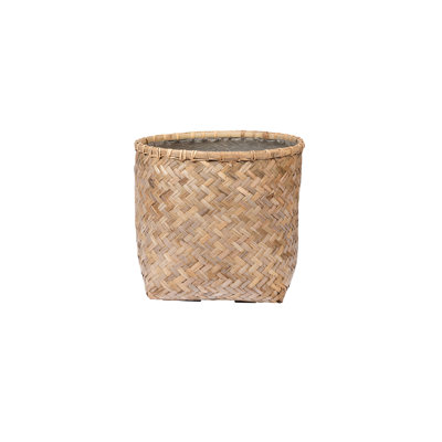 Zayn XS, Bamboo