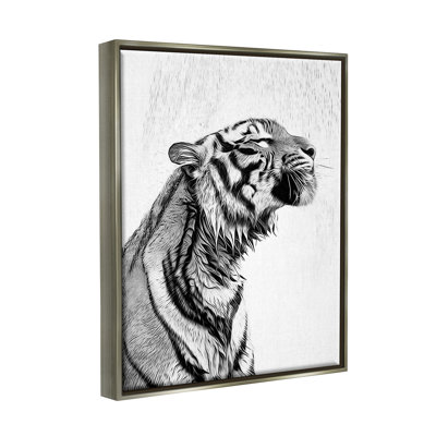 Éclaboussure de salle de bain Tiger