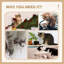 Tour pour chat 38,5 po beige pour animaux de compagnie d'intérieur. Livrée avec poteaux à griffes, rampe, boules, plateforme, lit. Conception robuste. Conception confortable. Dimensions: l 23,5 po x P 15,72 po. H 38,5 po. Pour les chats pesant moins de 13 lb