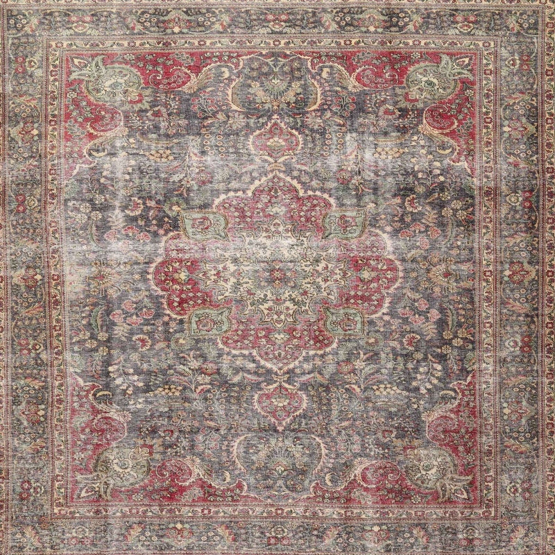 Vespera Performance Oriental Indoor Rug, Square 3'