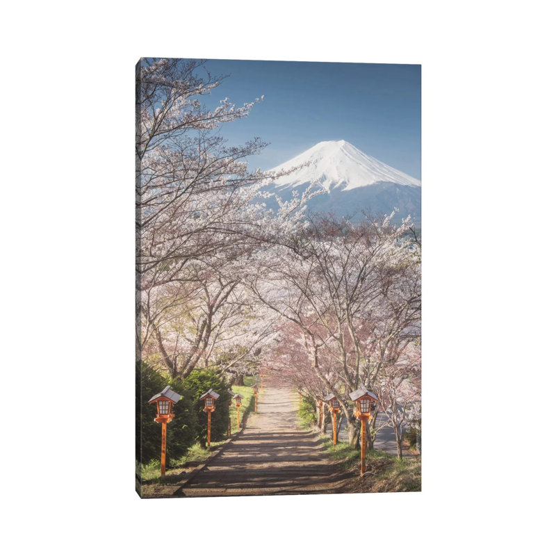 Spring In Japan I by Daniel Kordan - Print on Canvas, Wrapped Canvas, 101.6 cm H x 66.04 cm W x 1.91 cm D