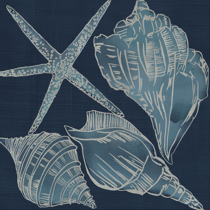 Marine Shells III by Chariklia Zarris - Wrapped Canvas Painting, 51cm H x 51cm W